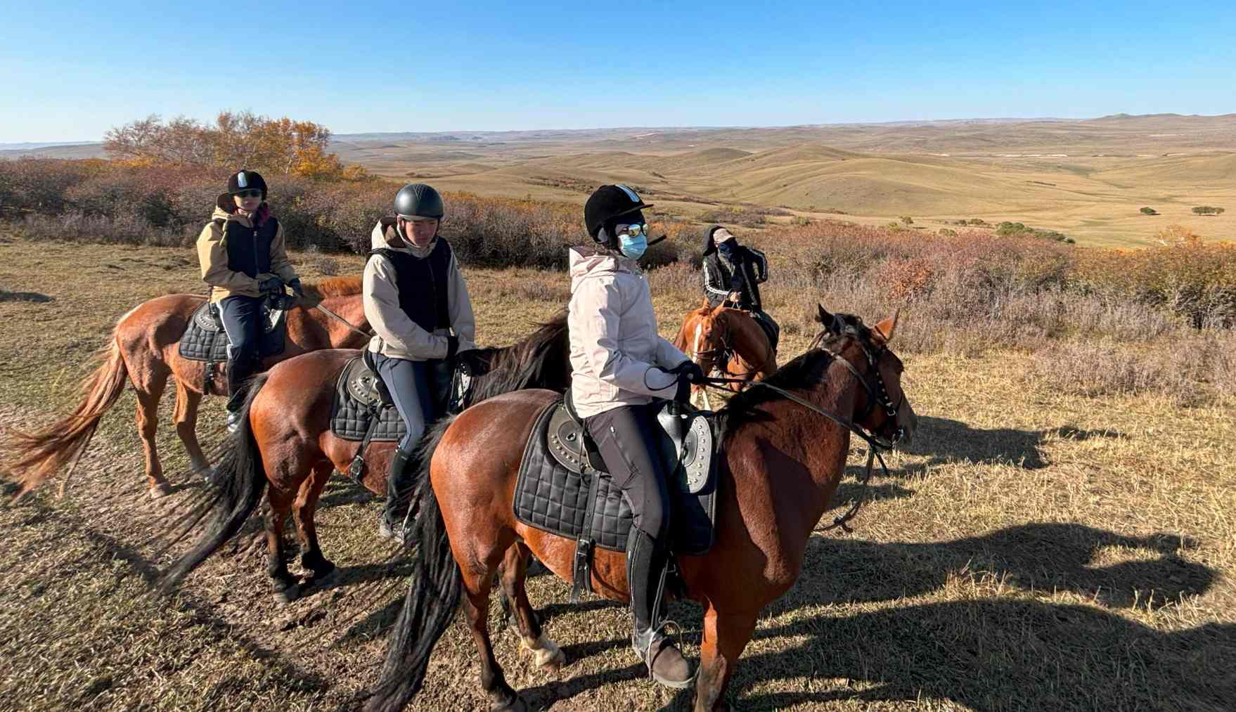 Horse Trekking